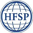 http://www.ishallwin.com/Content/ScholarshipImages/127X127/636385874970924312.jpg