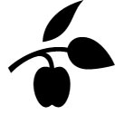 http://www.ishallwin.com/Content/ScholarshipImages/127X127/636549989890761187.jpg