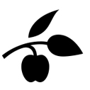 http://www.ishallwin.com/Content/ScholarshipImages/127X127/636580116542424140.jpg