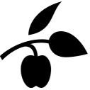 http://www.ishallwin.com/Content/ScholarshipImages/127X127/636655484679697469.jpg