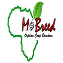 MoBreed Intra-Africa Mobility MSc and Doctoral Scholarship for Plant Breeders in Africa, 2019