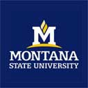 International Undergraduate Scholarships at Montana State University in USA, 2019