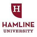Hamline International Excellence Scholarships in USA