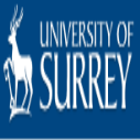 University of Surrey International Excellence Awards in UK