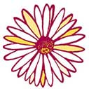 http://www.ishallwin.com/Content/ScholarshipImages/127X127/Studyabroad-Scholarship-in-Canada-P-E-O-Sisterhood-for-international-womens-masters-and-PhD-degree-programme.jpg