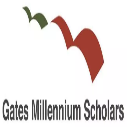 Gates Millennium Scholarship Program’s Application Status 2023