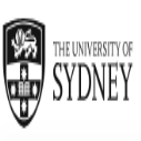 Sydney International Undergraduate Academic Excellence Scholarships, Australia