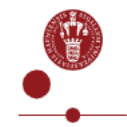 Danish Government international awards at the University of Copenhagen, Denmark