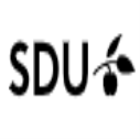 SDU International Postdoctoral Positions in Control Engineering, Denmark
