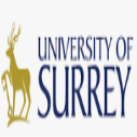 University of Surrey International Excellence Awards in UK