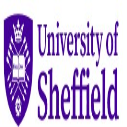 Delhi Public School Society (DPS) Undergraduate Merit Scholarship at University of Sheffield, UK